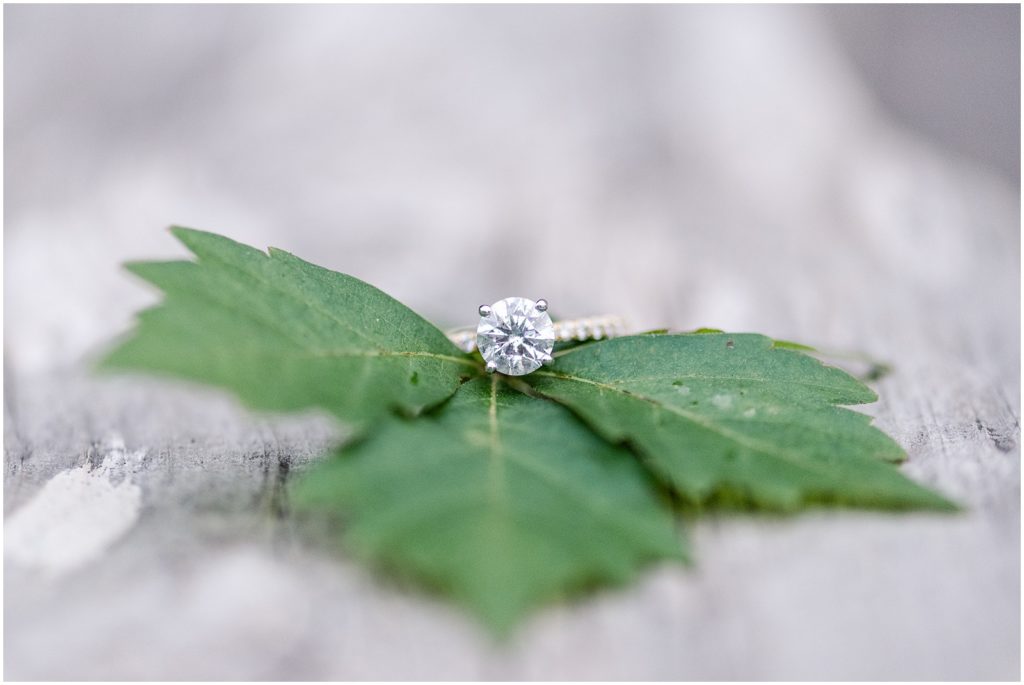 engagement ring at cibolo nature center